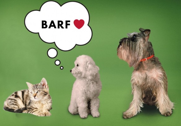 BARFen - Rohfütterung für Hund und Katze - Fleisch kaufen nahe Graz - gefroren 
