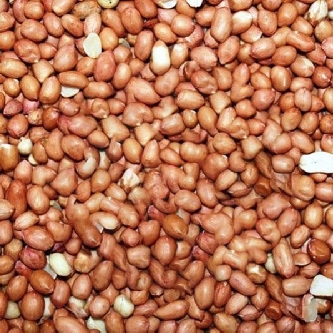 Erdnüsse ohne Schale - RedSkin - 25kg