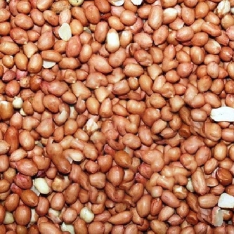 Erdnüsse ohne Schale - RedSkin - 1kg