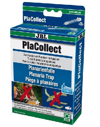 JBL PlaCollect, Plattwurmfalle / Planarienfalle
