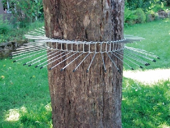 Katzenabwehrgürtel für Bäume - Vogelschutz