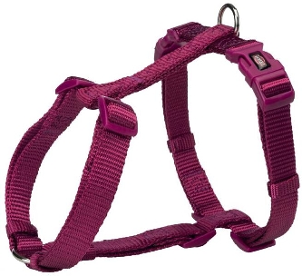 Premium H-Geschirr S-M 42-60cm/15mm orchidee