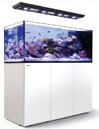 Red Sea - REEFER Deluxe Peninsula 650 - Riffsystem - weiss