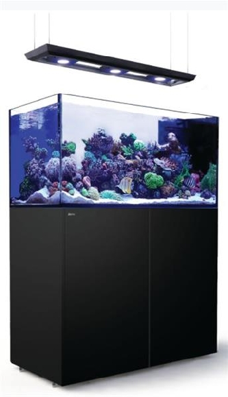 Red Sea - REEFER Deluxe 500 Peninsula - System - schwarz
