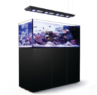 Red Sea - REEFER Deluxe 650 Peninsula - System - schwarz