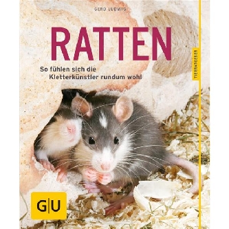 Ratten - So fühlen sich die Kletterkünstler rundum wohl