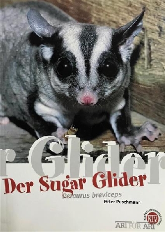 Der Sugar Glider Puschmann - NTV
