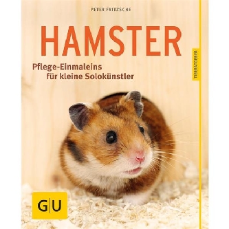 Hamster, Pflege-Einmaleins für kleine Solokünstler