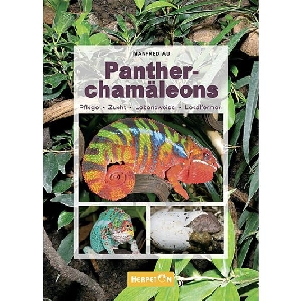 Panther Chamäleons - Manfred Au