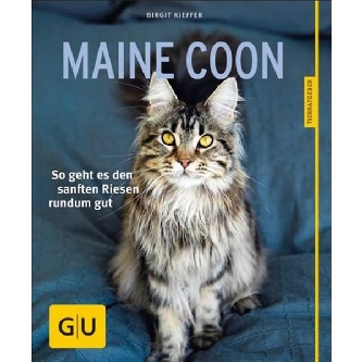 Maine Coon - So geht es den sanften Riesen rundum gut - GU