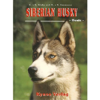 Sibirian Husky - heute - Kisko