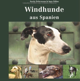 Windhunde aus Spanien - Dohrmann&Böhm - Kynos