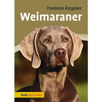 Weimaraner - Premium Ratgeber