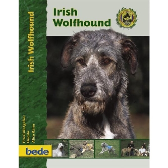 Irish Wolfhound - A. Kane