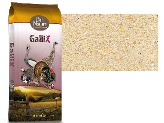 GalliX Ornamental Startmehl 20kg - Fasan/Wachteln Aufzucht