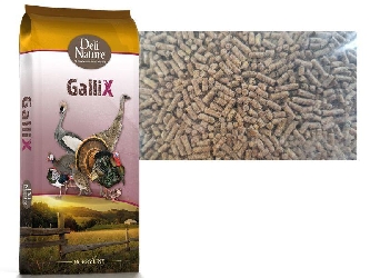 GalliX Ornamental - Wachstumspellet 20kg