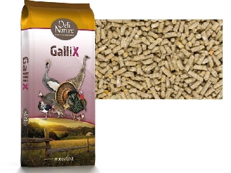 GalliX Ornamental - Unterhaltungspellet -  20kg