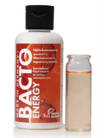 Bacto Energy - Bakteriennahrung - 250ml