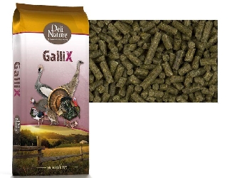 GalliX Austri Laufvogelfutter - 20kg DeliNature