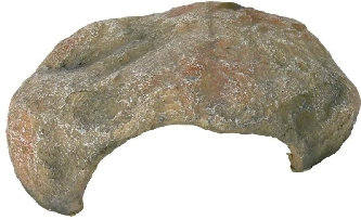 Reptilienhöhle 27x10x22cm