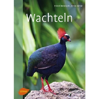 Wachteln - Ulmer Verlag