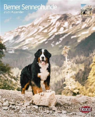 Kalender Berner Sennenhund