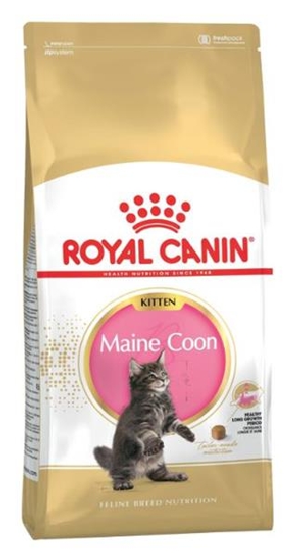 Main Coon - Kitten - 10kg