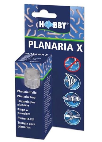Hobby Planaria X - Plattwurmfalle / Planarienfalle
