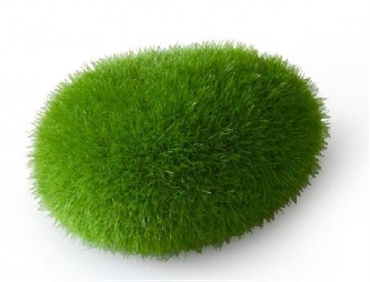 Dekor Delle Moss Ball S - ca.6x4,5x3,5cm
