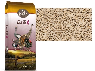 GalliX Turkey Wachstumspellets - 20kg