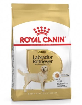 Labrador Retriever Adult - 3kg