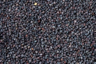 Mohnsamen - Einzelfutter - 1kg
