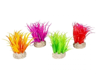 Pflanze Hair Grass S - verschiedene Farben