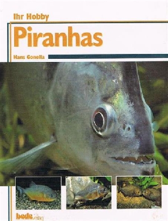 Piranhas Ihr Hobby