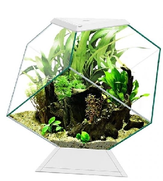 Aquarium Nexus 14C weiß - 35,4x41,8x36,8cm