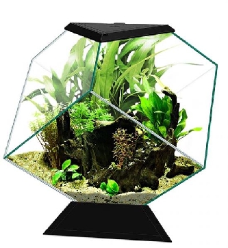 Aquarium Nexus 14C schwarz - 35,4x41,8x36,8cm