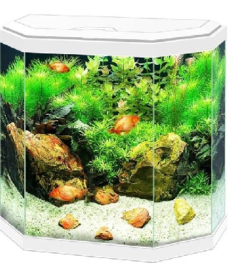 Aquarium Aqua 30 LED weiß - 40x20x45,5cm