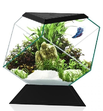 Aquarium Nexus Betta 5c schwarz - 26,9x31x26,2cm