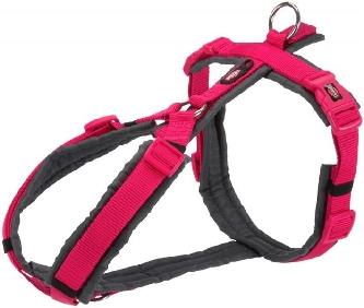 Premium Trekking Geschirr M - 53-64cm/20mm fuchsia