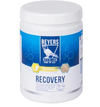 Beyers Recovery Plus Nr.36 - 600g