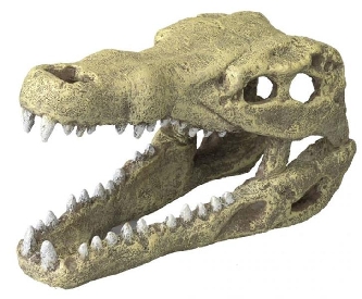 Dekor Krokodil-Kopf - 19,5x9,5x10,5 cm - M
