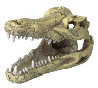 Dekor Krokodil Kopf - 13,5x6,5x7,5 cm - S