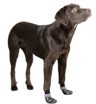 Hundesocken Susi - mit Nitrilbeschichtung - XL