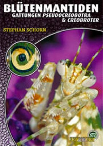 Blütenmantiden Stephan Schorn