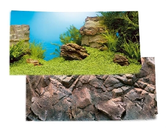 Poster 1, L, 100x50cm - plant/reef - Rückwandgestaltung
