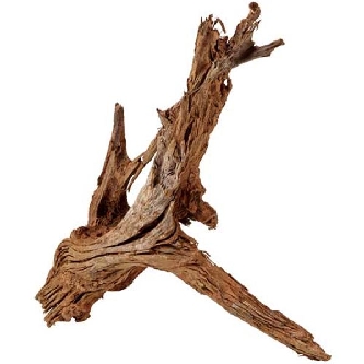 Mangroven Wurzel XL - 70-90cm