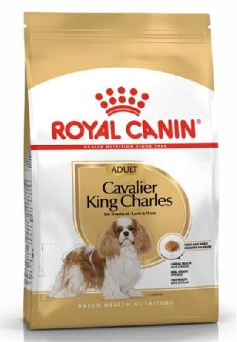 Cavalier King Charles - Adult - 1,5kg