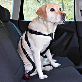 Sicherheitsgeschirr "XL" Dog Protect 80-100cm/25mm