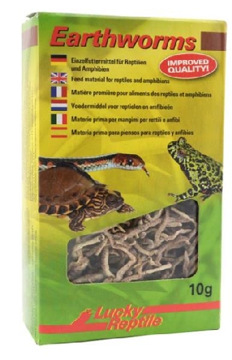 Earthworms für Reptilien und Amphibien - 10g