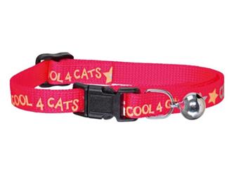 Katzenhalsband CoolCats - pink